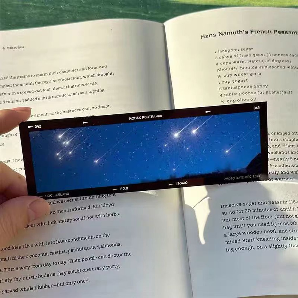 Sea'S Memoirs 海洋テーマ フィルムスタイル ア - Dried Flower Bookmark のレビューと価格